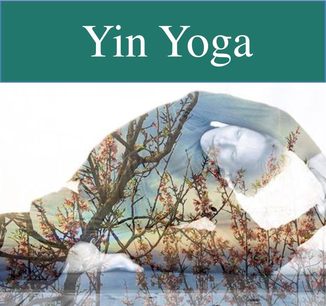 yin-yoga-valencia-sudaka