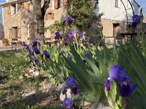 Letter-Shabda-Sudaka 