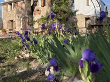 Letter-Shabda-Sudaka 